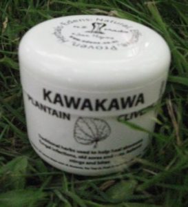 Kawakawa, plantain and cleavers ointment